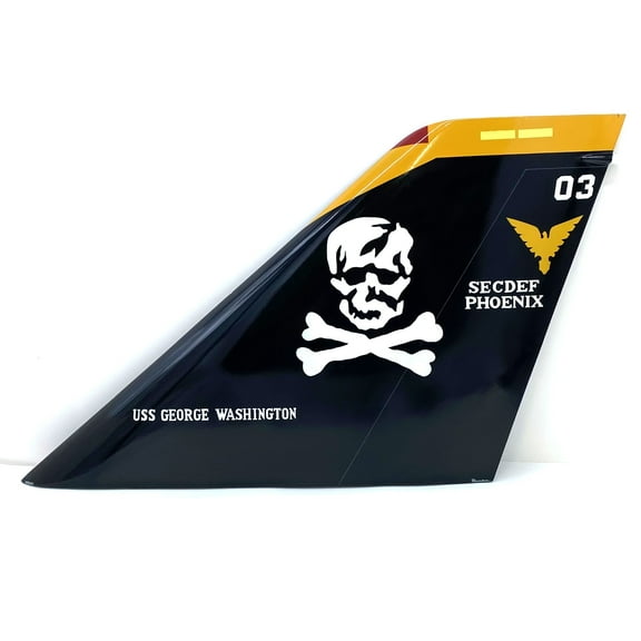 VF-103 Jolly Rogers F-14 Tail Flash