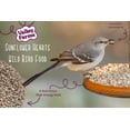 thumbnail image 6 of Valley Farms Sunflower Hearts Wild Bird Food (4LBS), 6 of 11