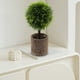 thumbnail image 4 of Artificial Green Plants Simulation Potted Home Office Hotel Lobby Decoration Green Plants Home Decoration Artificial Plants, 4 of 6