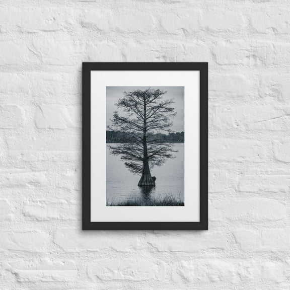"Solitude" — Fine Art Framed Poster (Black, 12″×16″)