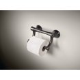 Delta Bath Safety Transitional Tissue Holder with Assist Bar