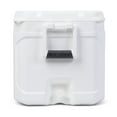 thumbnail image 2 of Igloo Marine Profile II 50 quart glacière 47 litre, 2 of 7