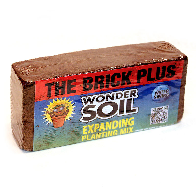 Wonder Brick Plus