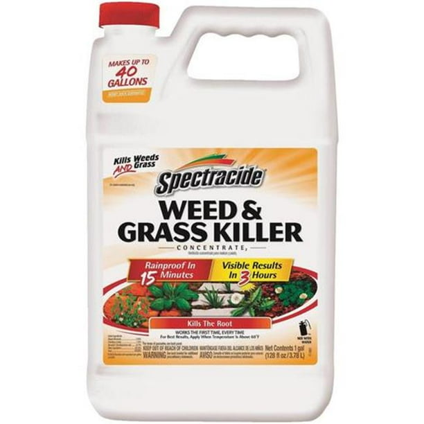 Spectracide Weed & Grass Killer Concentrate, 1 Gallon