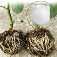 thumbnail image 7 of Walbest 5 Pack Plant Rooting Grow Boxes, Botany Root Growing Controller Grafting Ball Device, High Pressure Root Propagation Containers, Root Booster for Fast Growth Reproduction Pod, 7 of 7