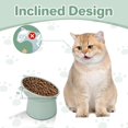 Olutacot 9 Pcs Raised Cat Food Bowls 15 Degrees Plastic Tilted Elevated