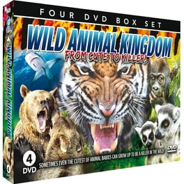 洋画・外国映画 THE WILD ANGELS DVD The Wild Angels (DVD), Olive, Action & Adventure - Walmart.com