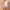 Purple, variant on Dihao one Piece Swimsuit for Women Clearance Plus Size Women'S Color Match Swimwear Sling Tummy Control Bathing Suit on Promotion Hot Sales