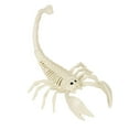 thumbnail image 2 of Dserhfy Halloween Animal Skeletons Dog Bat Frog Scorpion Spider Snake Rat Bone Skeletons for Halloween Party Haunted House Graveyard Scene Decoration, 2 of 8
