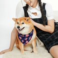thumbnail image 2 of KLL American Stars Dog Bandanas,Triangle Reversible Pet Scarf for Small Medium Large and Extra Large Dogs-Small, 2 of 4