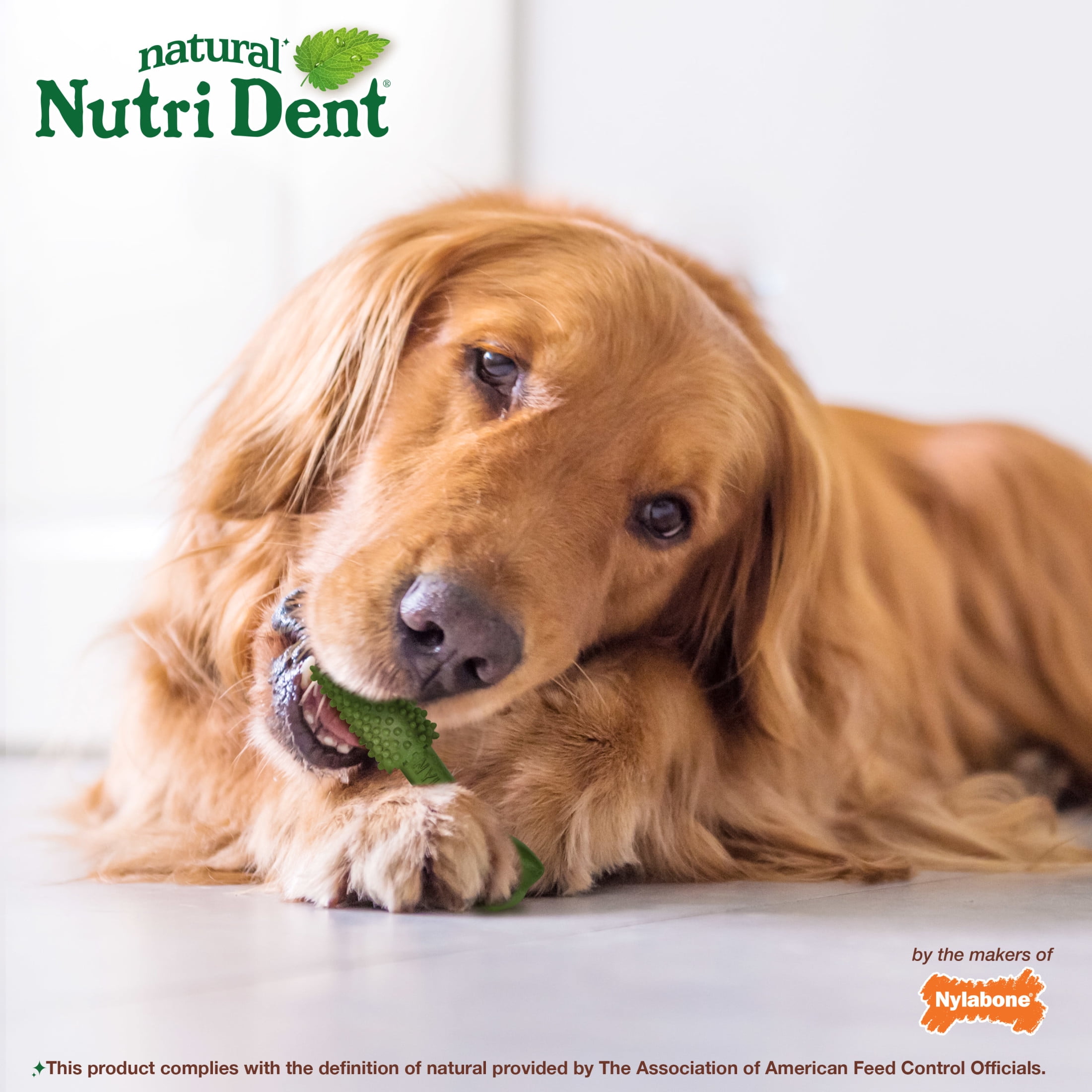 Nylabone Nutri Dent Natural Dental Chews for Dogs, Limited Ingredient Dog Treats, Teeth Cleaning Dental Sticks for Dogs, Fresh Breath Flavor, For Large Dogs (20 Count)