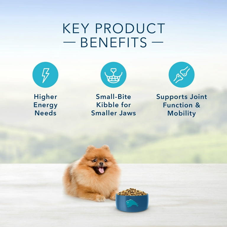 Blue buffalo toy cheap breed dog food