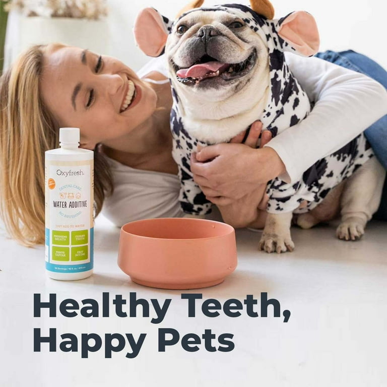Best water additive for dog breath discount
