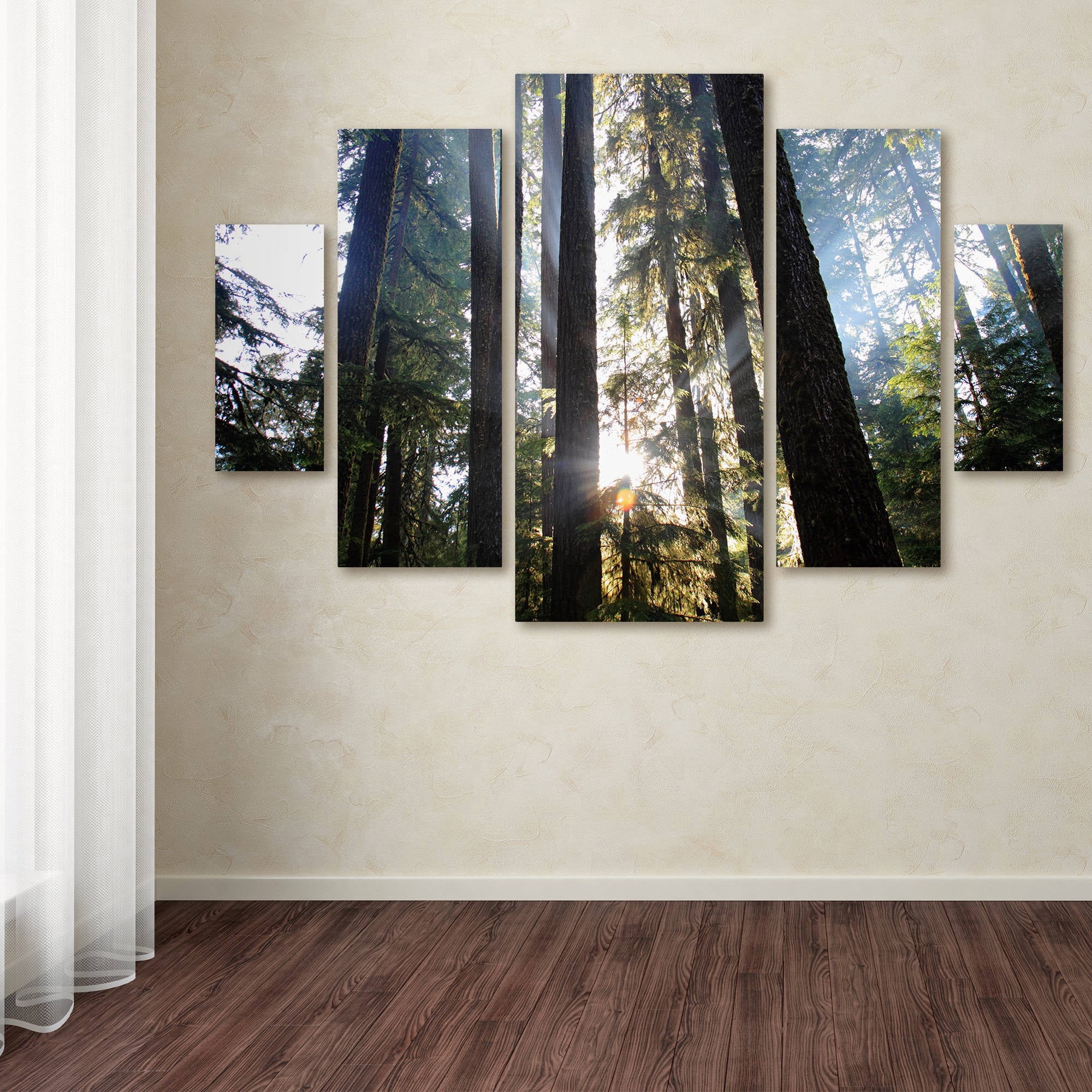 Trademark Fine Art "Sunrays" Canvas Art by Pierre Leclerc 5-Piece Multi-Panel Art Set