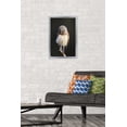 thumbnail image 2 of Curious Burrowing Owlet Wall Poster, 14.725" x 22.375" Framed, 2 of 6