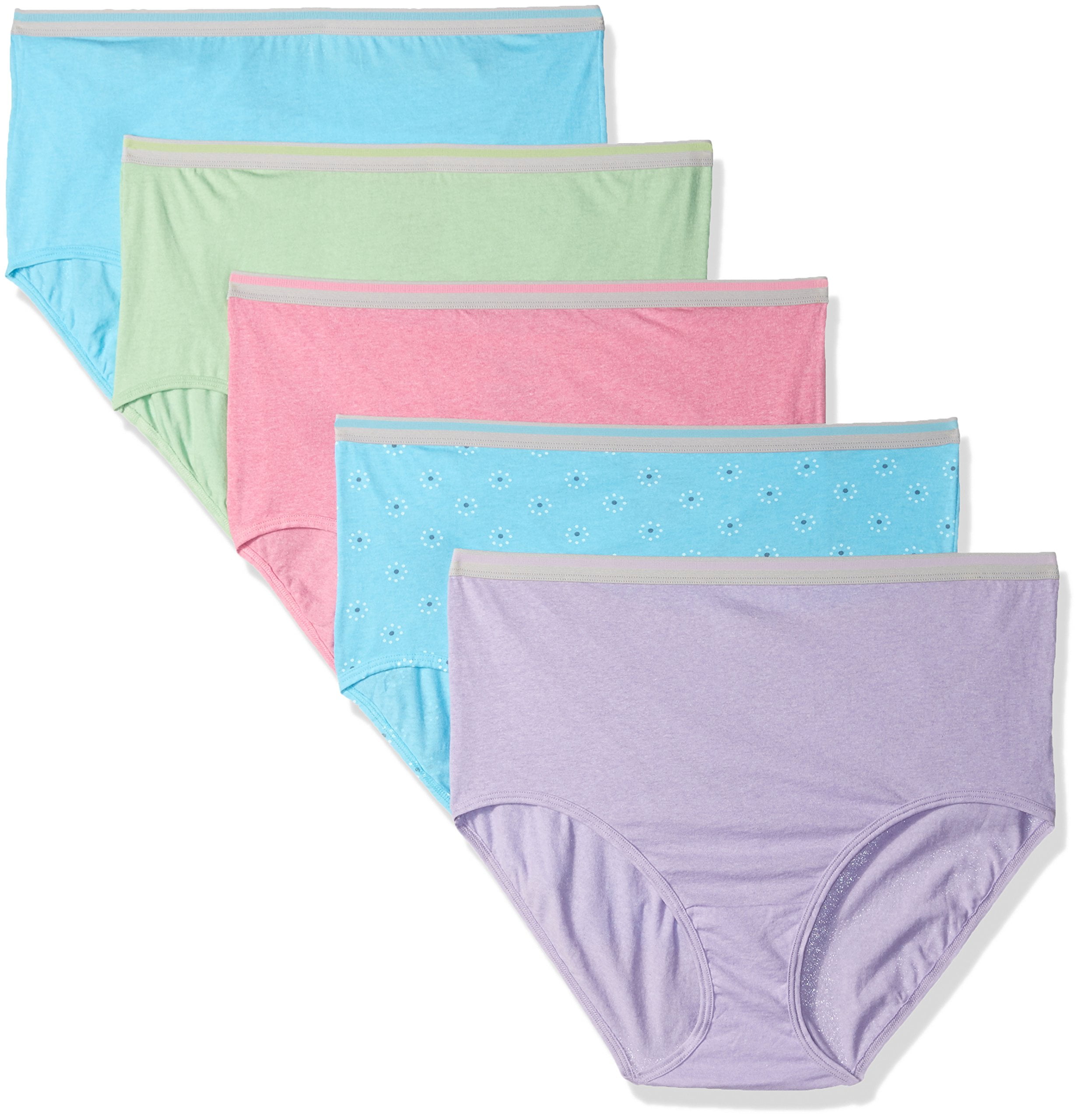 Buy Fruit of the Loom Womens 6 Pack Nylon Brief Panties, Assorted in Cheap Price