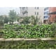 thumbnail image 2 of Bearachild Valla de madera simulada para decoración de jardines y patios. Valla de plantas simuladas, como escaleras. Jardín y Patio, 2 of 6
