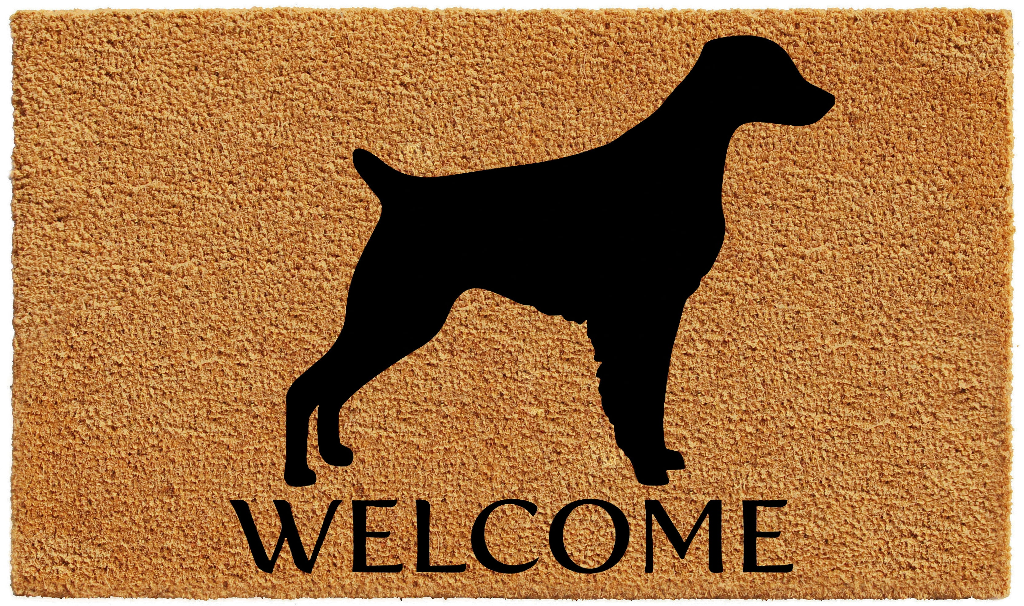 Calloway Mills Brittany Outdoor Doormat 24" x 36"