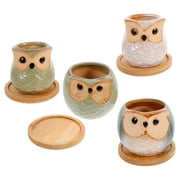 Green Decorations Micro Animal Plant Pot Owl Small Flower Thumb Pots Container Office