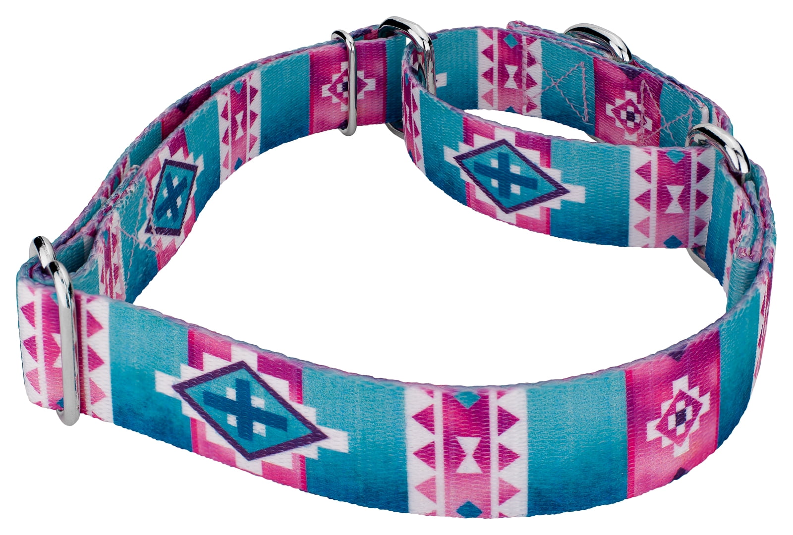 Country Brook Petz® Albuquerque Martingale Dog Collar and Leash, Large