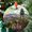 Butte Montana, variant on Garden Of The Gods Christmas Ornament, Ceramic/Acrylic - Garden Of The Gods Travel Souvenir, Festive Tree Ornament, Vacation Keepsake 2025, Gift for Explorers, Collectible 2025