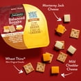 thumbnail image 4 of Sargento® Balanced Breaks® Monterey Jack & Mild Cheddar Cheese, WHEAT THINS® Minis, 4 of 8