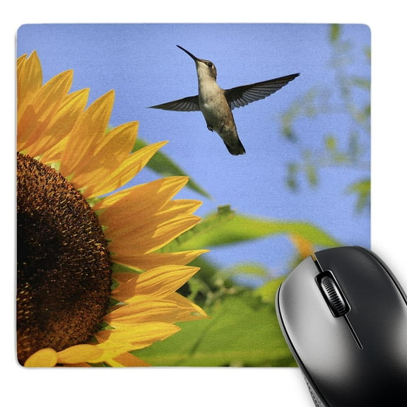 3dRose, Photo of a ruby throated hummingbird flying by a mammoth sunflower., MousePad