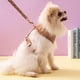 thumbnail image 5 of Correa para perro, collar, cuerda para tirar, conjunto, círculo corporal, correa para perro pequeño, diseño de inspección con asa, material de malla, chaleco suave para el cuerpo, 5 of 5