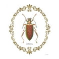 thumbnail image 2 of Wiens, James 26x32 Gold Ornate Wood Framed with Double Matting Museum Art Print Titled - Adorning Coleoptera VI, 2 of 4
