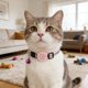 thumbnail image 3 of Collar inteligente para gatos con localizador electrónico «Find My», compatible con seguimiento en tiempo real, de silicona, ligero y ajustable para gatos pequeños y medianos, 3 of 5