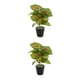 thumbnail image 3 of Advancent Planta en maceta de tortuga ecológica, plantas artificiales de bajo mantenimiento para decoración de balcón, sala de estar JH5474 JH5474 2Conjunto, 3 of 6