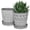 Gray, variant on BUYMAX ceramic plant pots, 6 inch plant pots with drainage hole and saucer, indoor/outdoor flower pots, set of 2, leaf embossed - white glaze