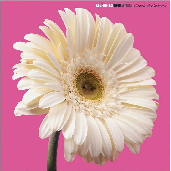 Los Elefantes - 30 Aniversario - Red Vinyl - Music & Performance