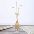 thumbnail image 4 of 30pcs Rattan Reed Sticks Natural Fragrance Straight Reed Diffuser Aroma Oil Diffuser Rattan Sticks, 4 of 9