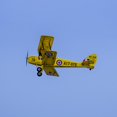 thumbnail image 4 of Modelo RC de hélice Arf FLY Kits TIGERS Moth para Niños SCG3904, 4 of 7