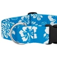 thumbnail image 5 of Country Brook Petz® 1 1/2 inch Deluxe Blue Hawaiian Dog Collar, Medium, 5 of 5