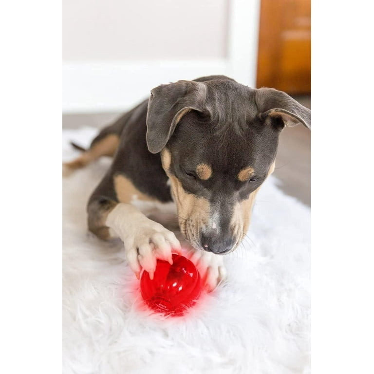 Thanks, Mail Carrier: As Seen On TV: Ball Pets are Fun Plush Balls with a  Pet Pal Inside! {Review}