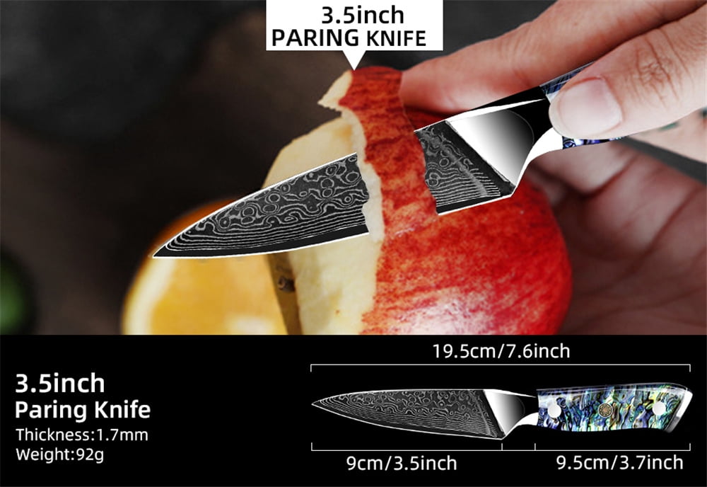 Kitchen Knife Damascus Steel Knife VG10 67 Layers Japanese Chef Knives Santoku Carving Cutting Tool Abalone Shell Handle with Sheath and Giftbox