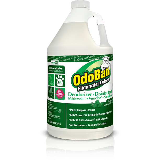 OdoBan, ODO911062G4, Eucalyptus Multipurp Cleaner Concentrate, 1