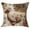 C, variant on SLYNSHome Easter Throw Pillow Covers 18x18 Inch Spring Bunny Pillow Covers Embroidery Rabbit Floral Cushion Case for Home Sofa Living Room