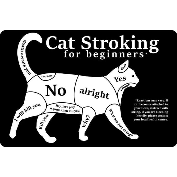 Tin Sign Cat Stroking for Beginners Black Retro Wall Home Bar Pub Vintage Cafe Decor, 8x12 Inch