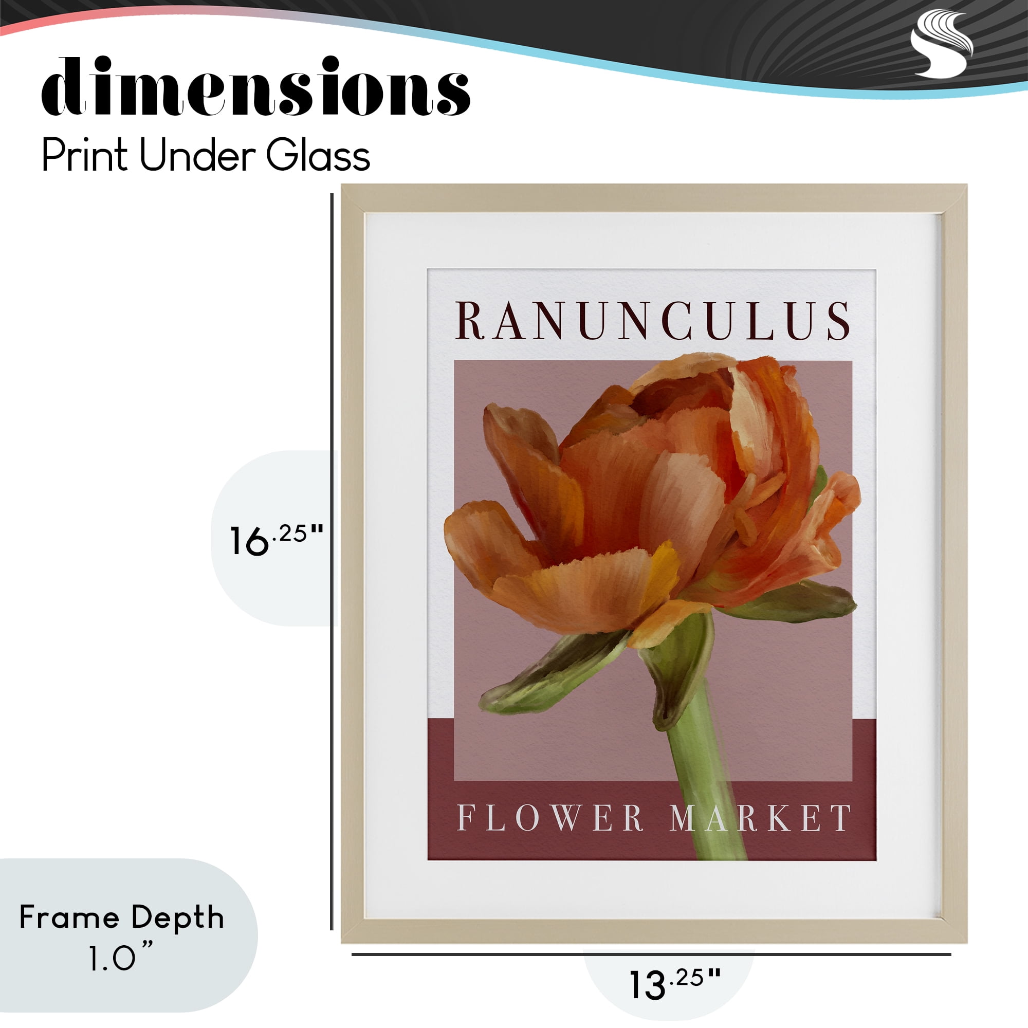 Stupell Industries Ranunculus Flower Market Birch Framed Print Under Glass, design by Jennifer Stith