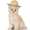 thumbnail image 2 of HERFIER POPETPOP Pet Sombrero Straw Hat Adjustable Hawaii Garden Sun Bucket for Small Dogs Puppy Cats Size S 5.31x5.11x1.38in, 2 of 9