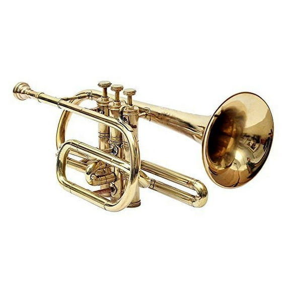 Sai Musical Brass Gold Color - A ECO CORNET WITH CASE ECHO 4 VALVE