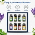 thumbnail image 3 of Noahstrong 8x10ml Essential Oils Gift Set, Orange, Jasmine, Mint Variety of Scents Essential Oils for Aromatherapy Diffuser for Relaxation, 3 of 9
