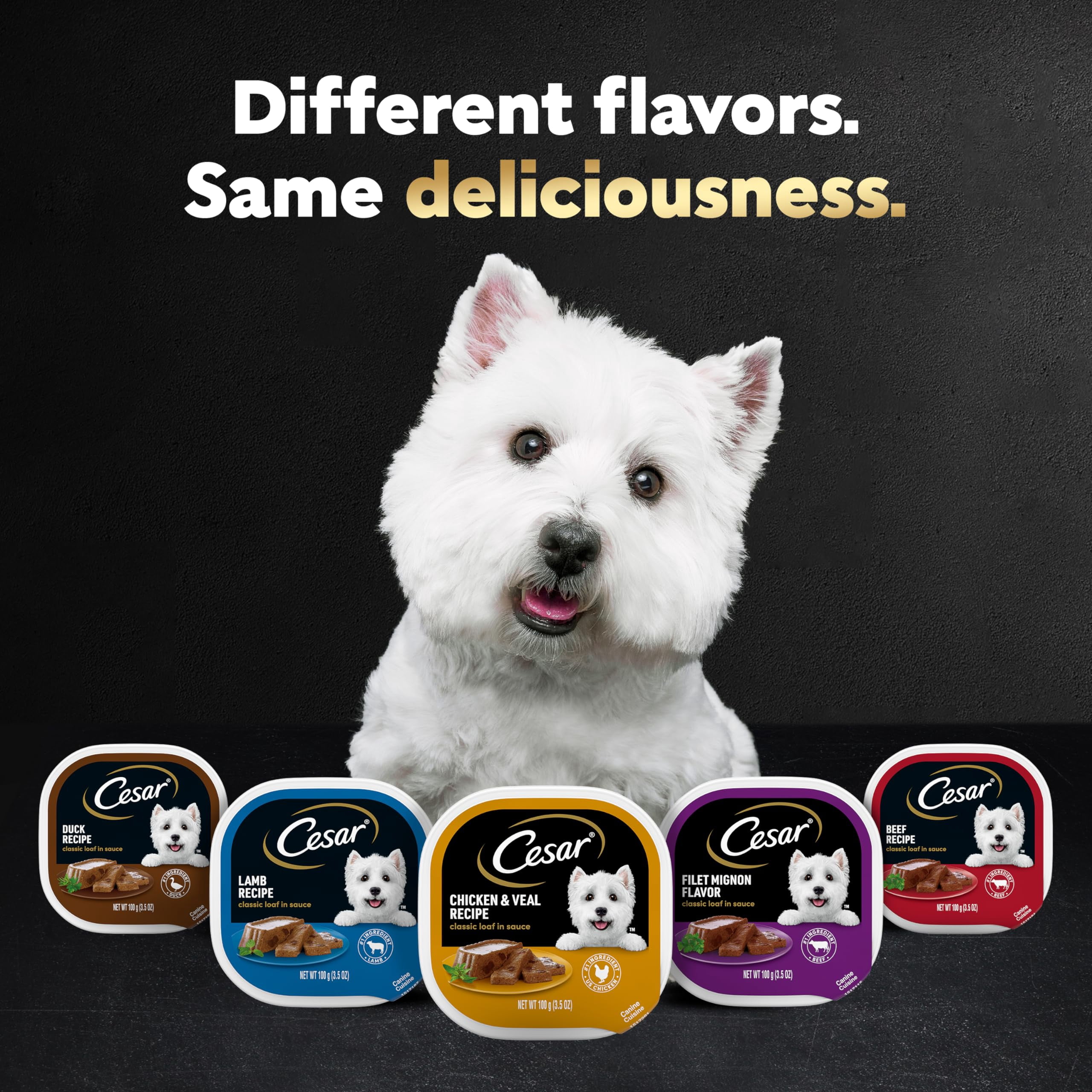Cesar Wet Dog Food Classic Loaf in Sauce Variety Pack (Pack of 12)