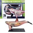 thumbnail image 1 of TEDCO 4D Orca Kids Educational Science Activity Kit, 1 of 4