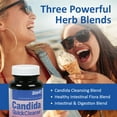 thumbnail image 3 of Zand Candida QuickCleanse | Full Potency Formula for Detoxification, Healthy Flora and Digestion Support | Natural Herbal Blends | 60 Vegetarian Caps, 3 of 6