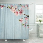 KSADK Blue Aged Old with Peach Blossom Pink Aging Ancient Antique Blank Blossoming Branch Shower Curtain 66x72 inch