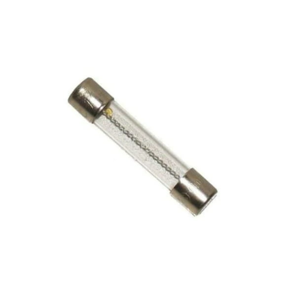 Hot Tub Compatible With Dynasty Spas 10 Amp Replacement Fuse DYN10400